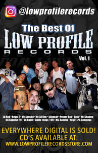 Image of The Best Of Low Profile Records Poster