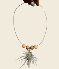 Image 1 of Air Plant Necklace with Wooden Beads
