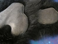 Image 4 of Custom Toony Handpaws