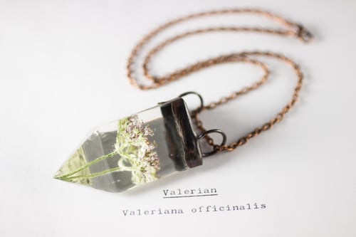 Image of Valerian (Valeriana officinalis) - Small Copper Prism Necklace #7