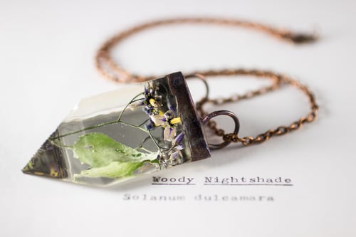 Image of Woody Nightshade (Solanum dulcamara) - Small Copper Prism Necklace #1