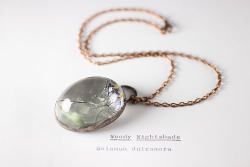 Image of Woody Nightshade (Solanum dulcamara) - Copper Plated Necklace #2