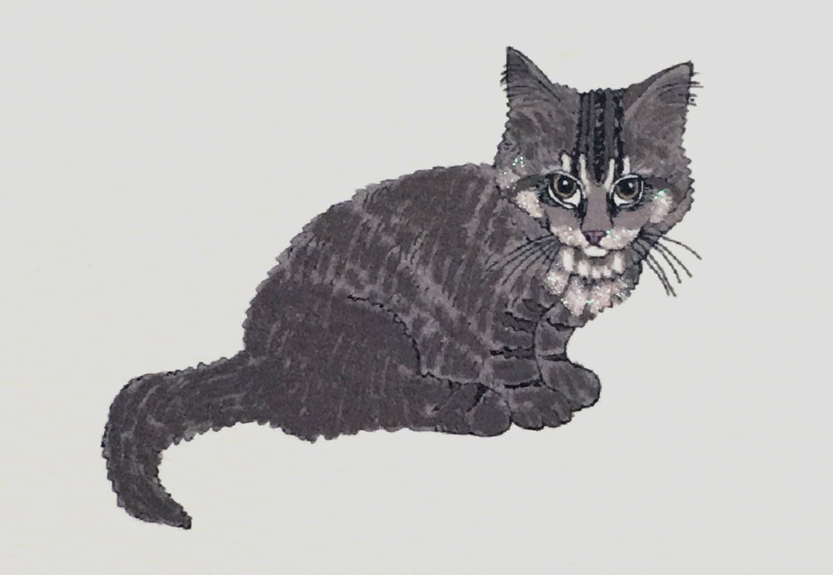 Elvis Cat Birthday Card