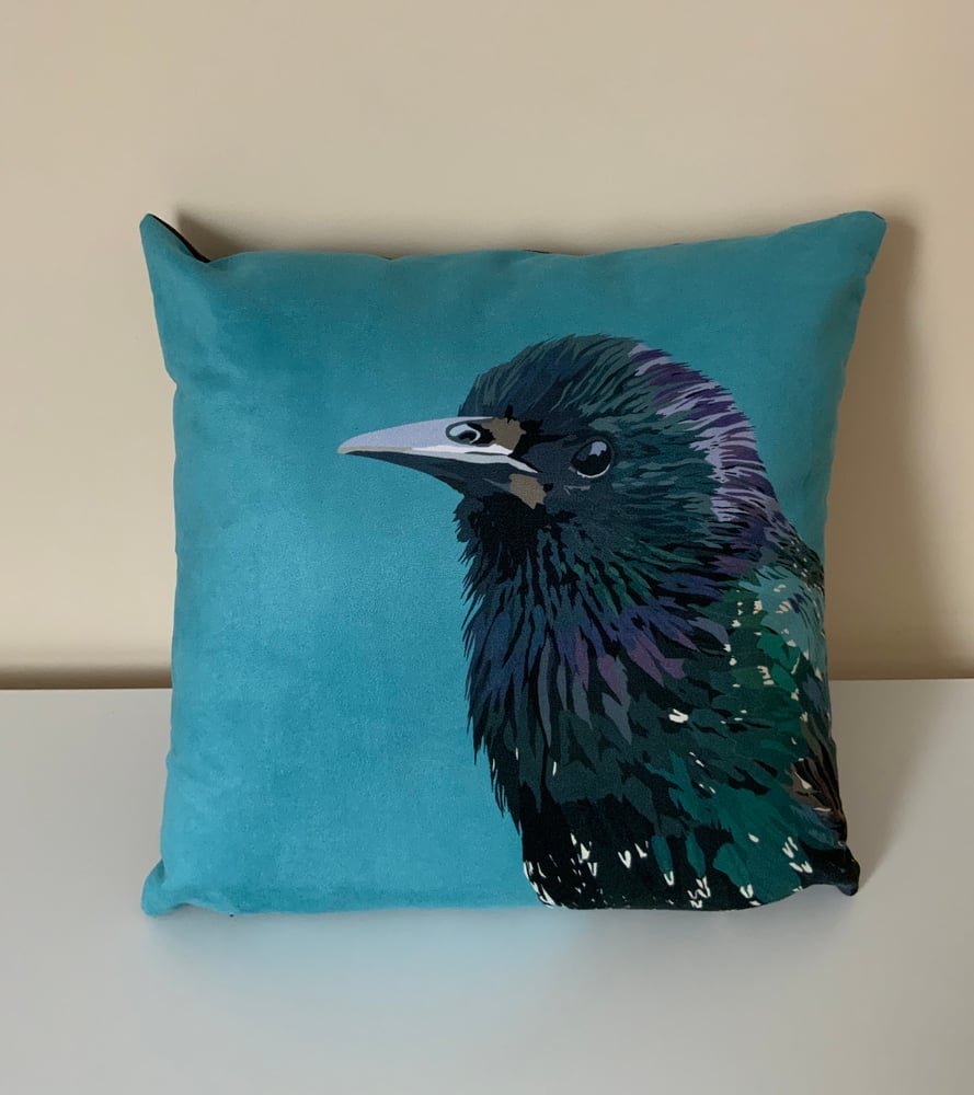 Image of Starling Cushion