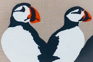 Image of Puffins