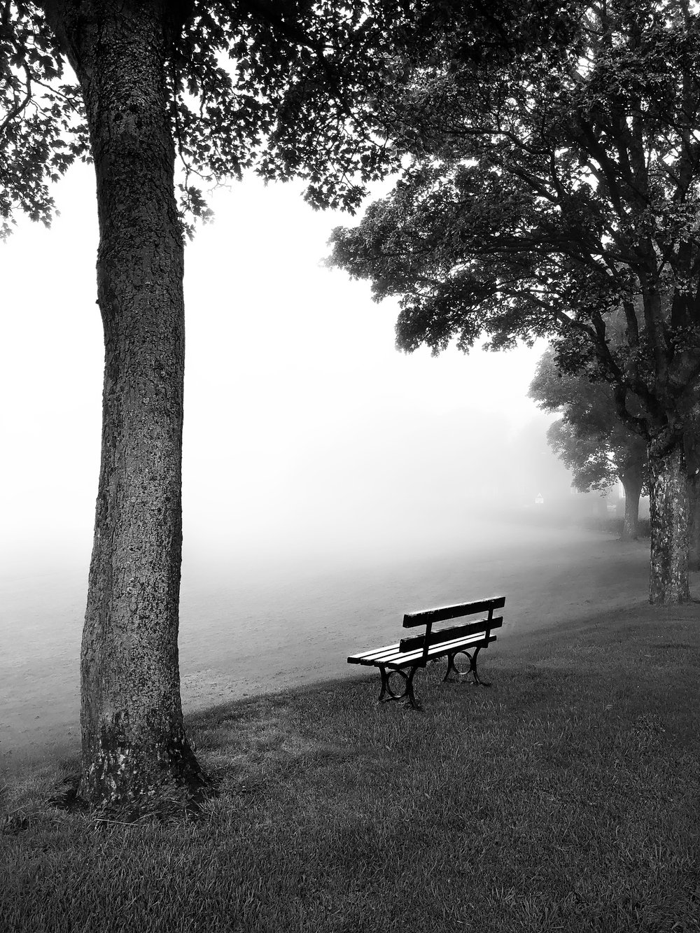 Fog on Magdalen Green