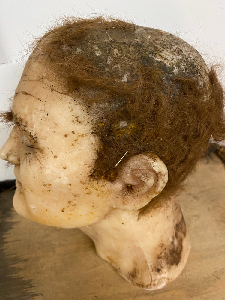 Image of Antique vintage military wax head from closed museum 