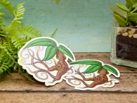 Image 2 of Mandrake Spriteling - 3 inch Vinyl Sticker