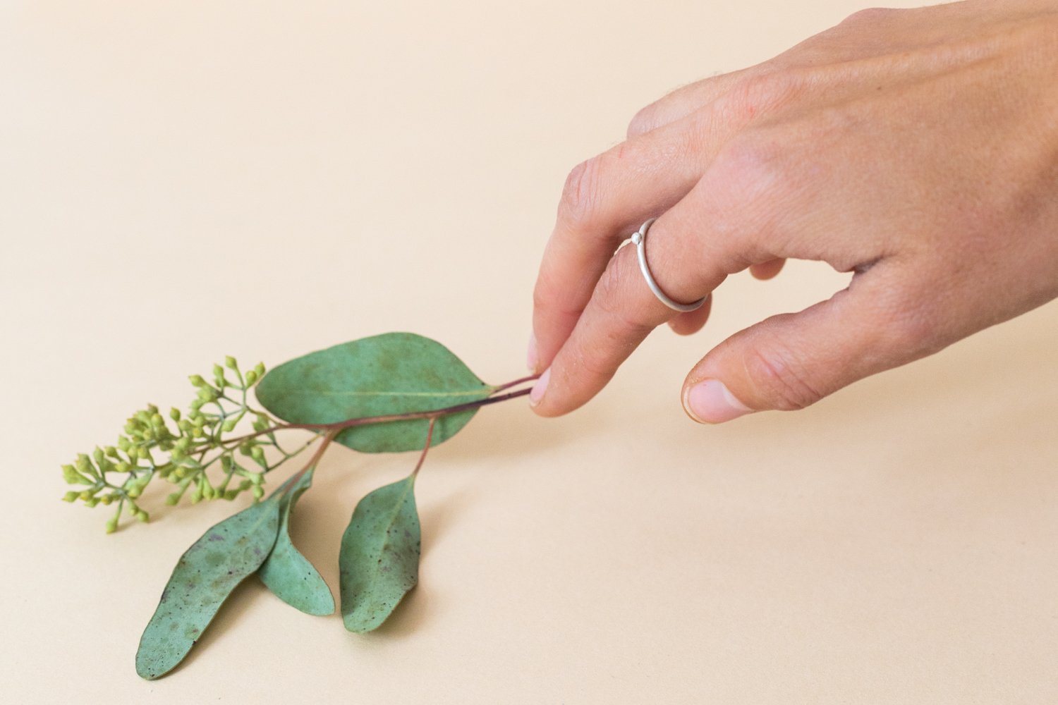 Image of Silver Ball Ring