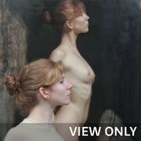 View only | Painting the Female Form