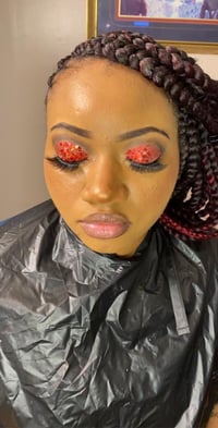 Image 4 of Minky Dust “REDS” Colors 