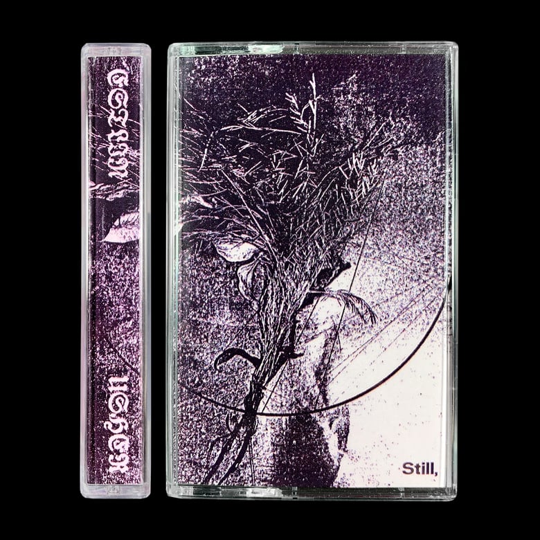 Image of Estlin Usher - Still