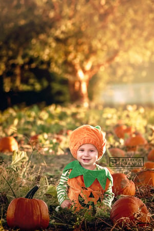 Image of The Perfect Pumpkin Patch Digital Backgrounds