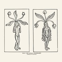 Image 2 of Advent day 6- medieval inspired mandrakes in bronze 