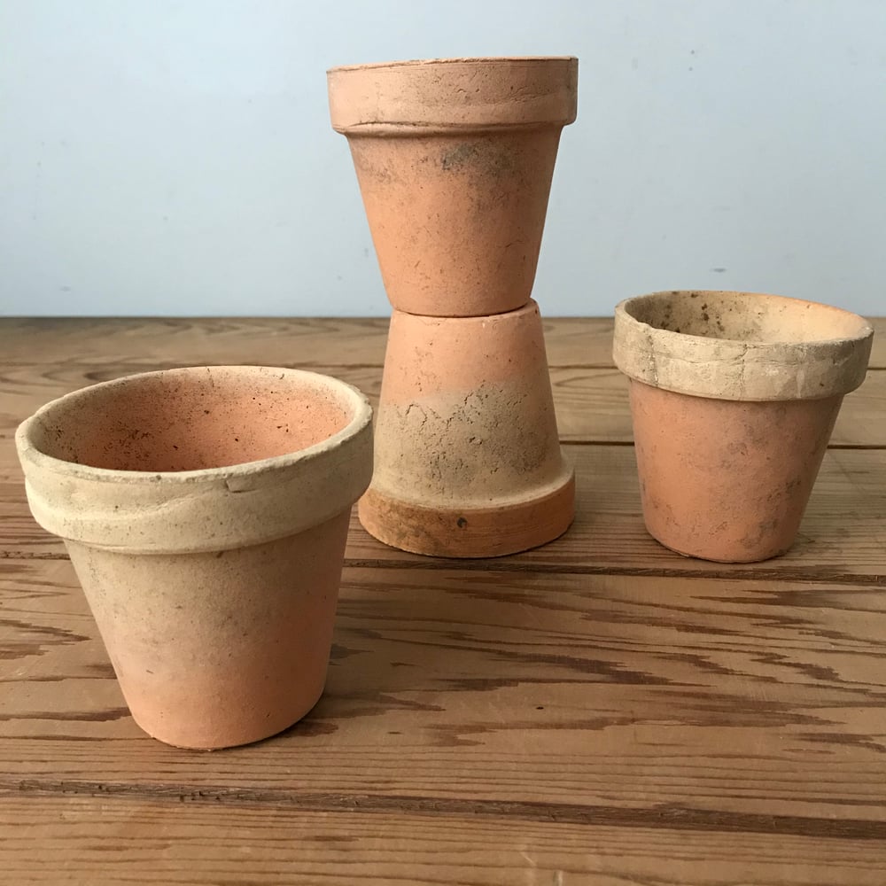 Image of Seedling Pots (peachy)