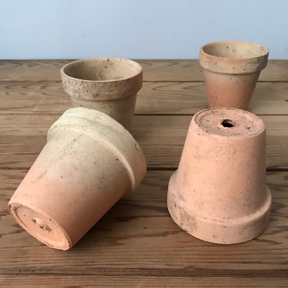 Image of Seedling Pots (peachy)