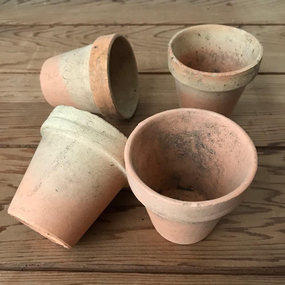 Image of Seedling Pots (peachy)