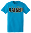 TEAL & GOLD - BAY AREA RAISED TEE [ 408 ]