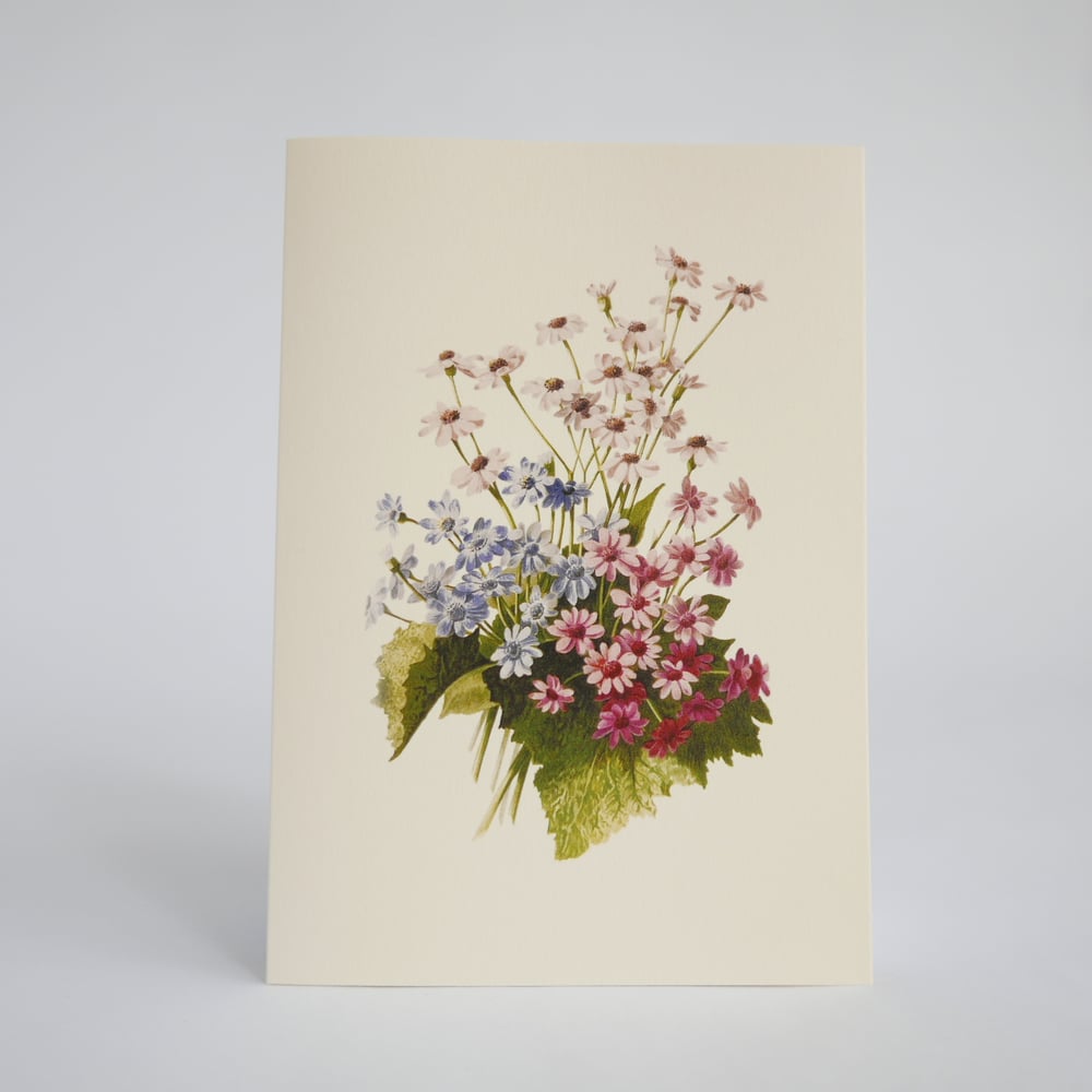 Alpine Flowers Vintage-style Letter Writing Set