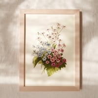 Image 2 of Daisies