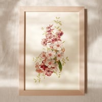 Image 1 of Apple Blossom