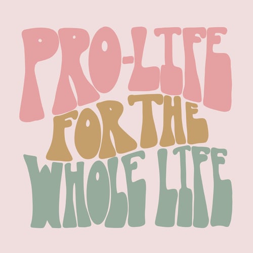 Image of Pro-life for the Whole Life Car Magnet
