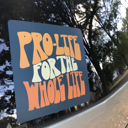 Image of Pro-life for the Whole Life Car Magnet