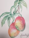 Mangoes watercolor