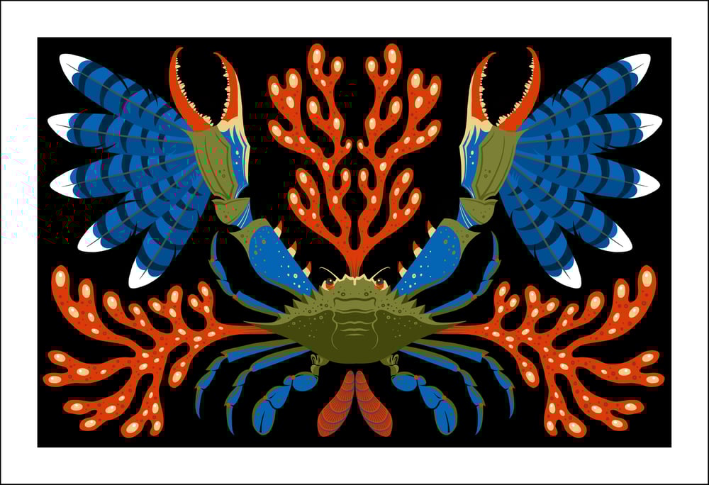 Image of Blueclaw Crab Print