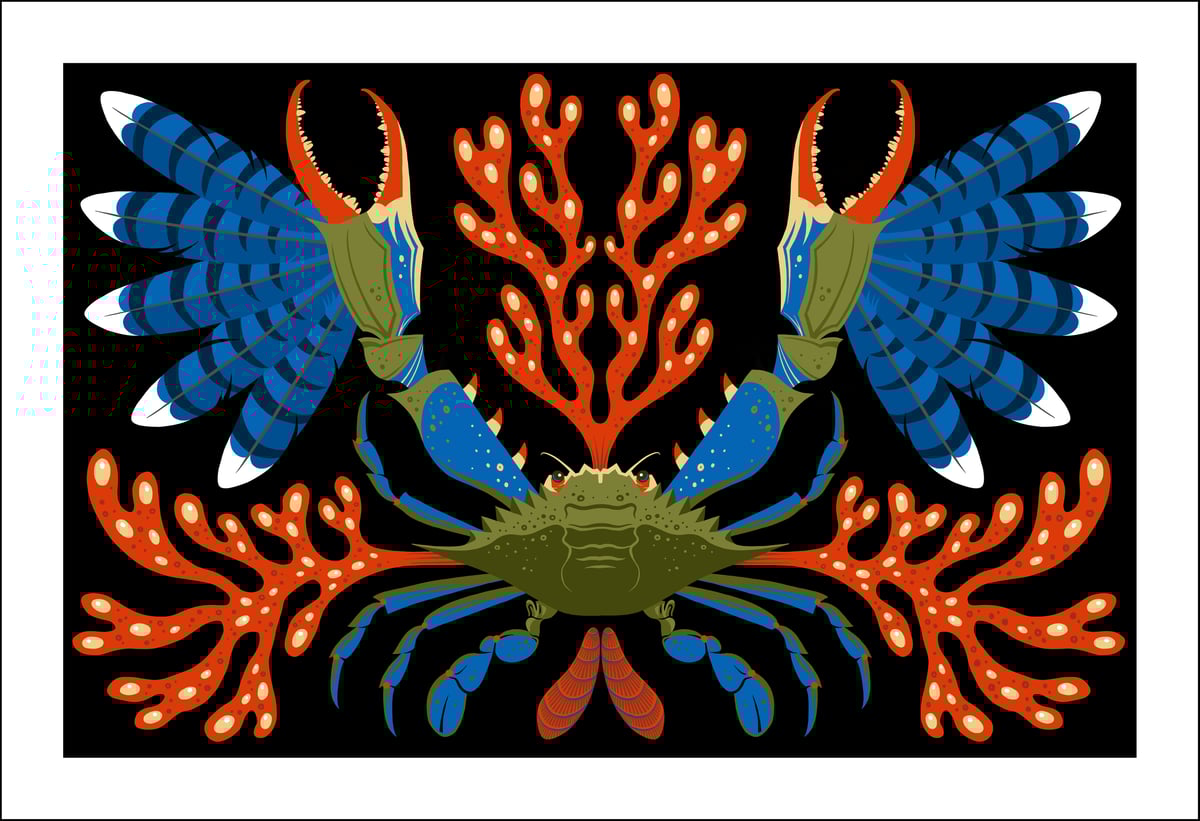 Image of Blueclaw Crab Print