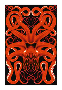 Pacific Octopus Print