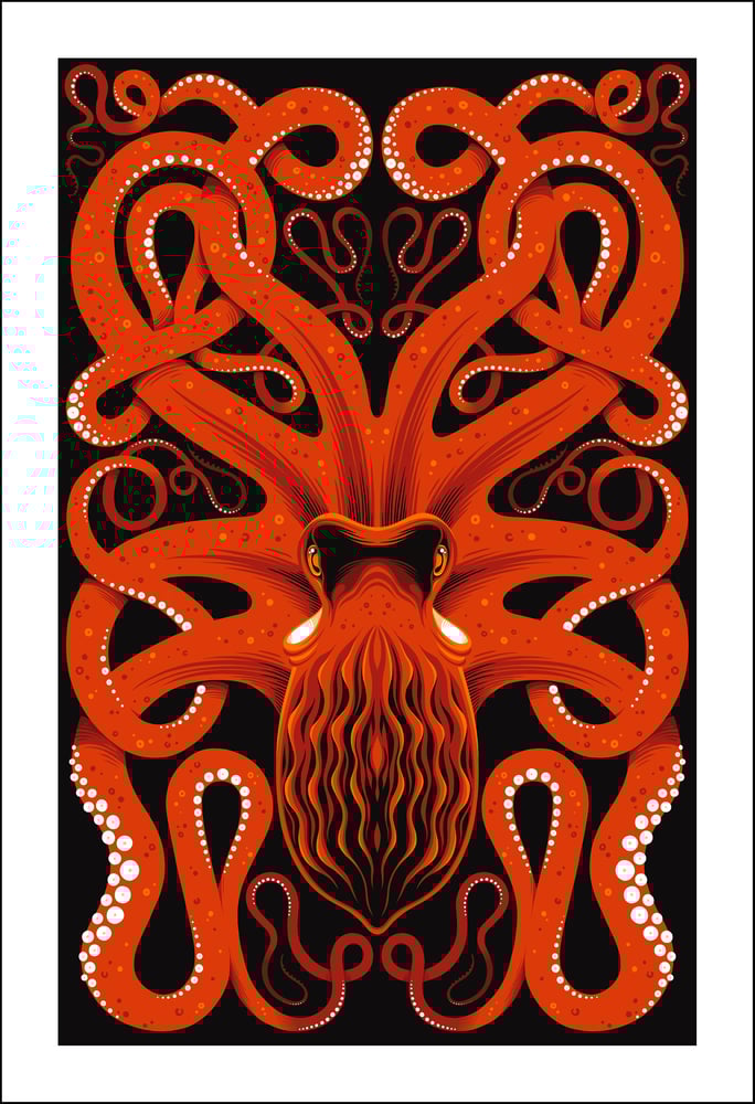 Image of Pacific Octopus Print