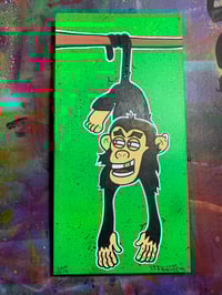 Image of COOLEST MONKEY IN THE JUNGLE