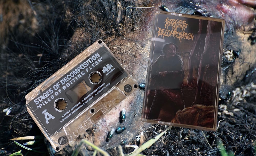 Image of Stages of Decomposition- Piles of Rotting Flesh