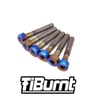 TiBurnt Titanium - Honda Grom Fuel Cap Ring Bolts