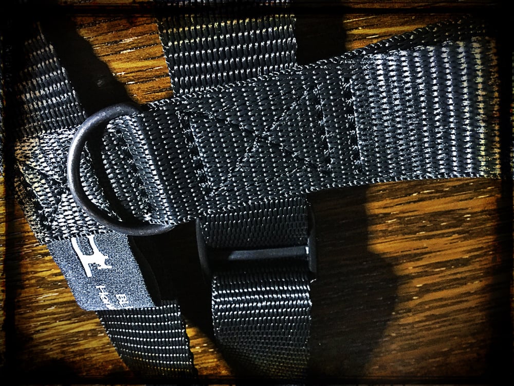 Image of Carry Strap Harness