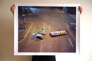 Toy Glider Exhibition Print 