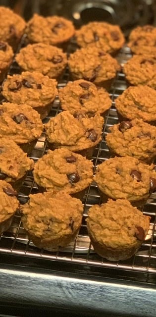 Image of Chocolate Chip Vanilla Protein Muffins 