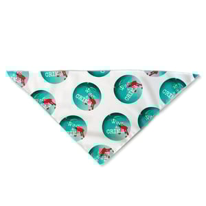 Image of Pet Bandana Set
