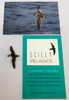 Great Shearwater - Scilly Pelagics Range - Enamel Pin Badge