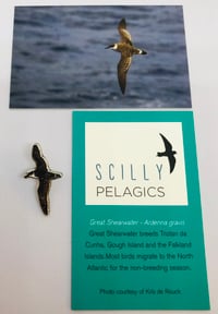 Image 1 of Great Shearwater - Scilly Pelagics Range - Enamel Pin Badge