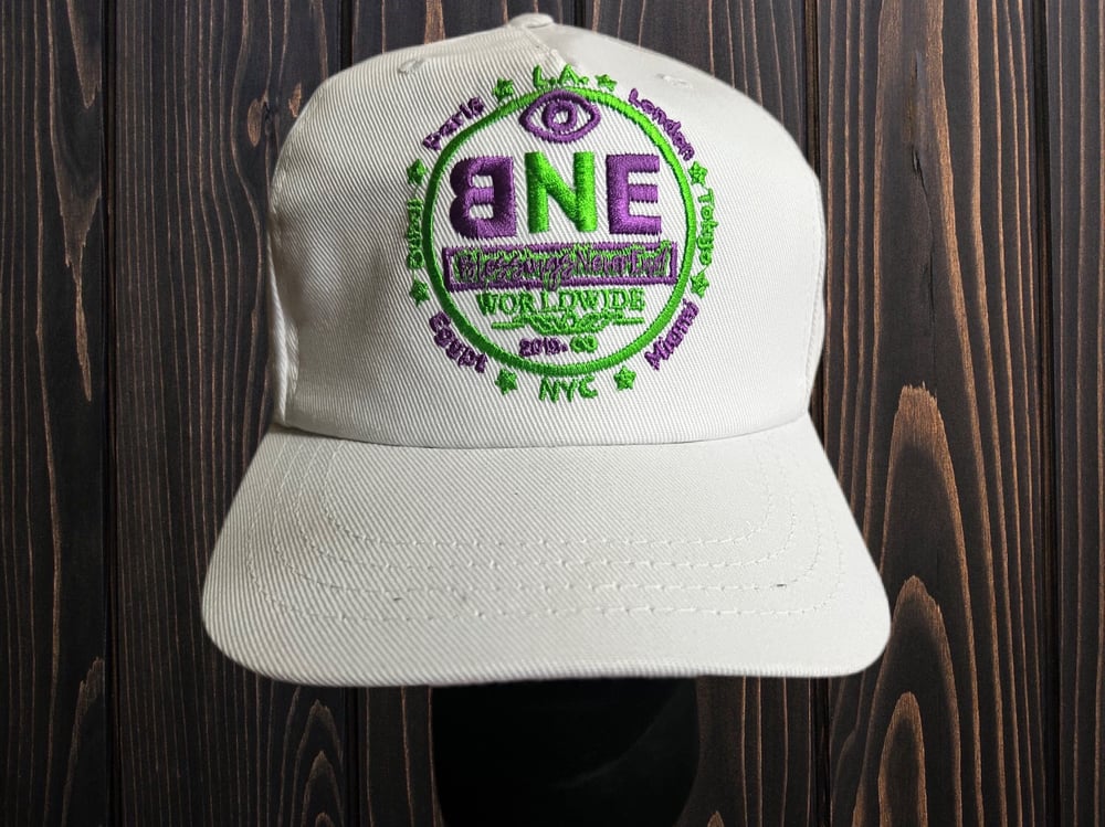 BNE WorldWide Hat 🌍 (purple and green) 