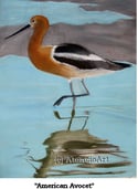 "Water Birds" (4 Birds) FREE SHIPPING USA!