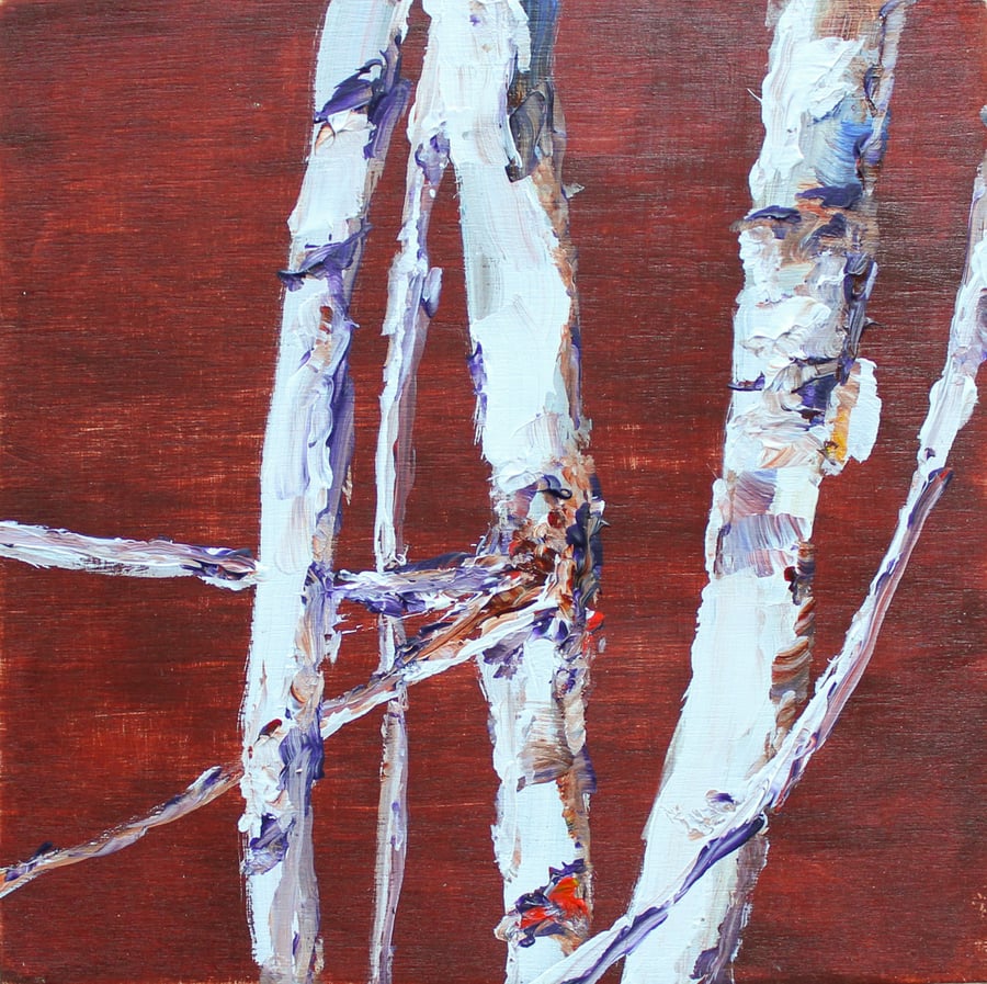 Image of - Rustic Birch -