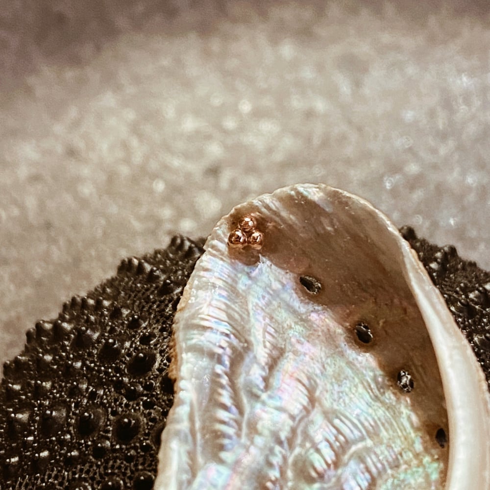 Image of BALL TRINITY THREADED STUD EARRING.