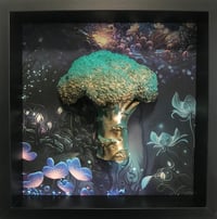 Dark forest broccoli