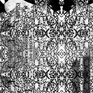 Image of Second Plane Cassette