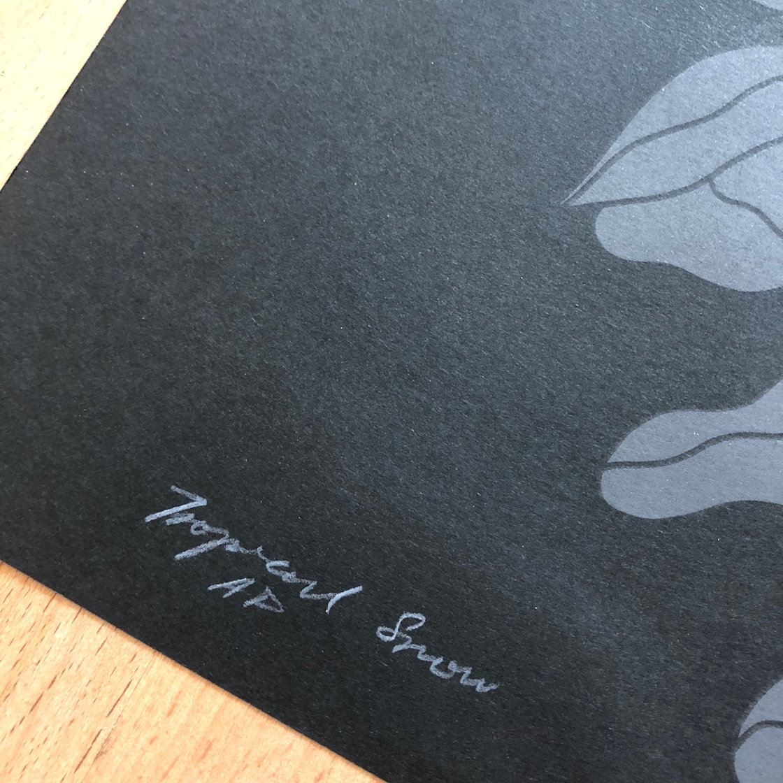 Image of Tropical Snow by Djohan Hanapi