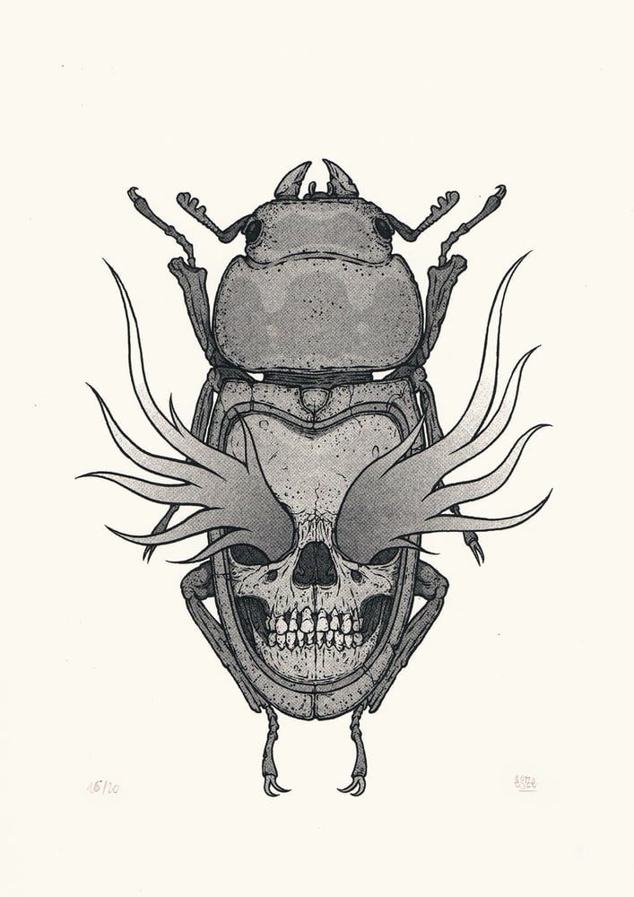 Image of THE BUG
