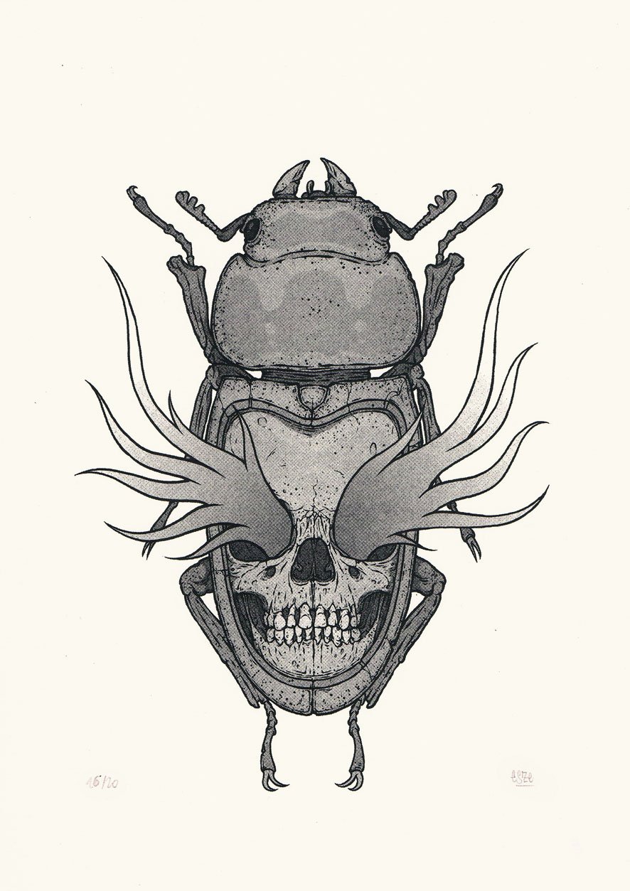 Image of THE BUG